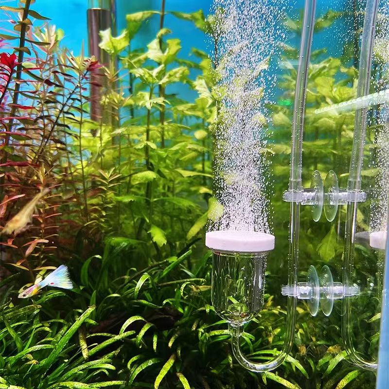 Aquaculture Aerator Pump - 1Set Glass Air Pump Sand Stone