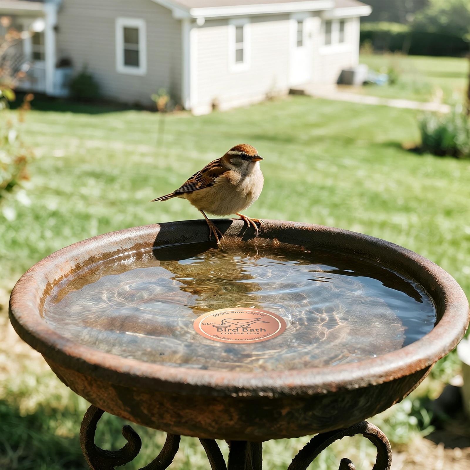 Bird Bath Copper Disk 0.6mm Th - Farming A 评论和价格