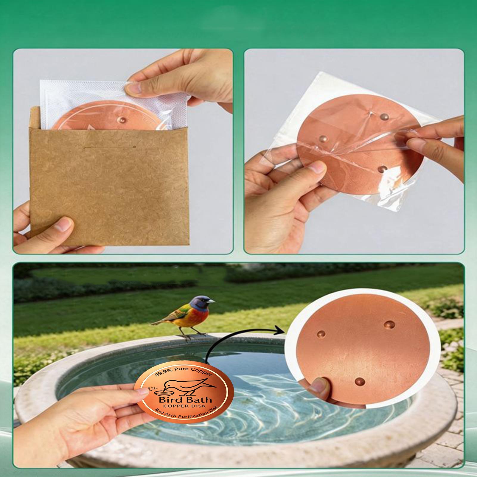 Bird Bath Copper Disk 0.6mm Th - Farming A 评论和价格