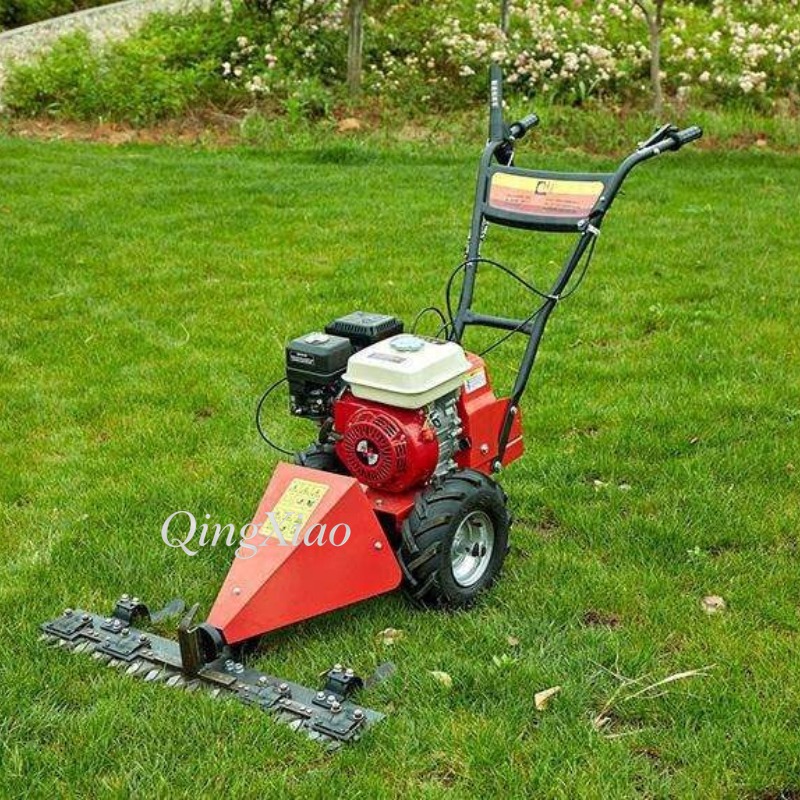 6.5Hp Four Stroke Wheeled Gras - Farming Jobs 评论和价格
